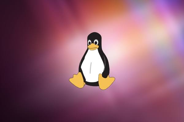 Linux Server